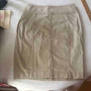Ann Taylor Beige Pencil Skirt